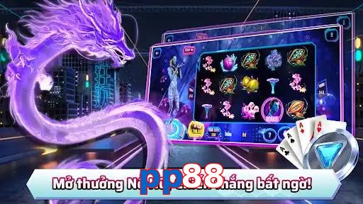 pp88
